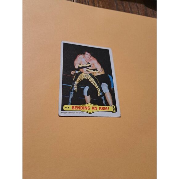 Vintage 1985 Topps WWF Wrestling Trading Card 41 Brutus Beefcake Ringside Action - Picture 1 of 4